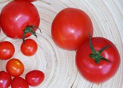 помидоры полезные свойства