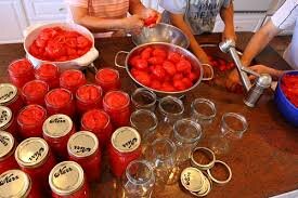 как заготовить помидоры на зиму
